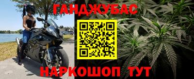ECSTASY Лесосибирск