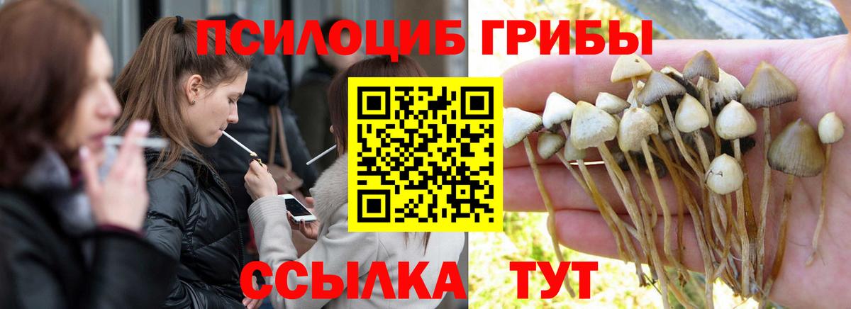 Псилоцибиновые грибы Magic Shrooms Фролово