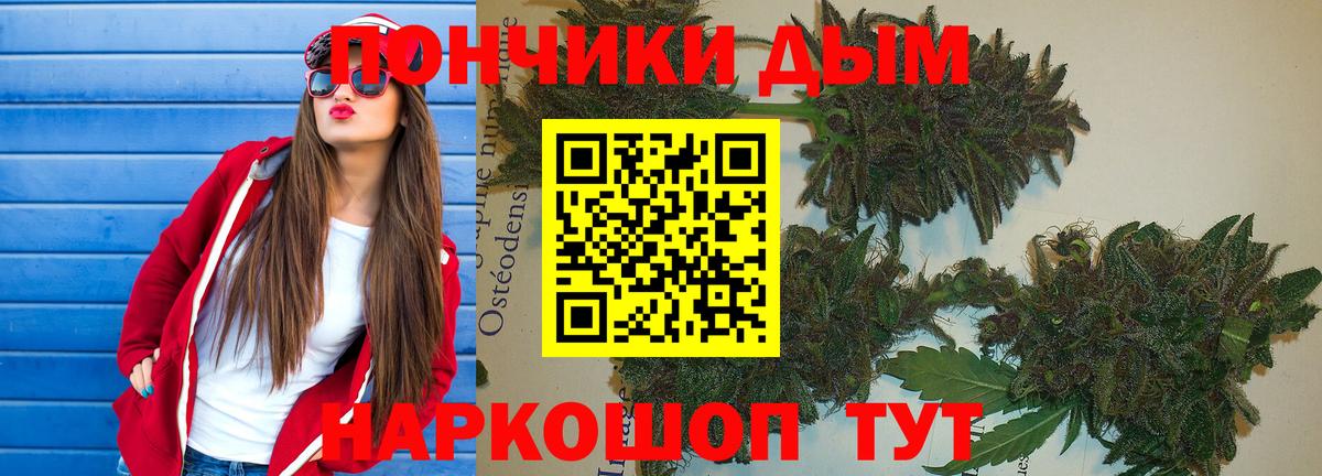 Канабис планчик Фролово
